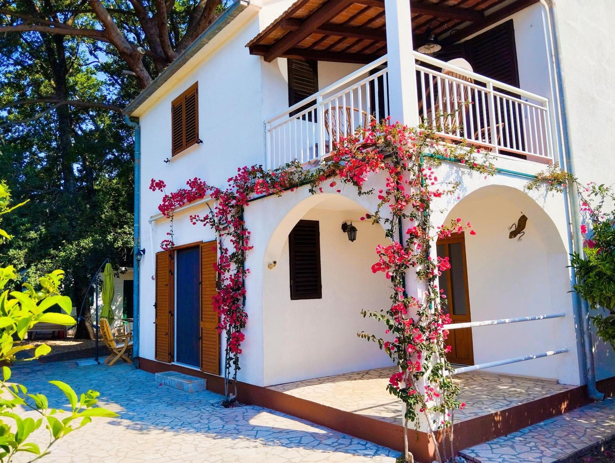 Holiday House Pinus Pinea Viganj Exterior photo